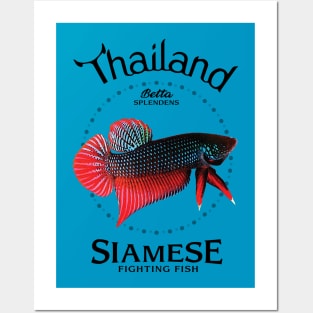 Siamese Fighting Fish Posters and Art